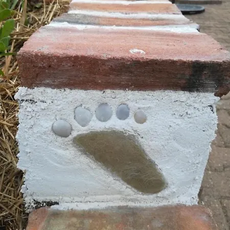 別荘 Proche Des Sables D'olonne Vendee *