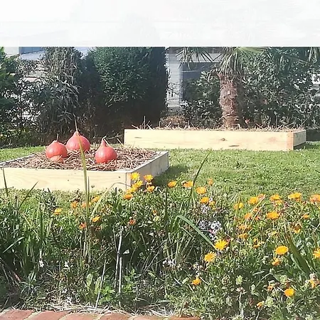 Proche Des Sables D'olonne Vendee Le Girouard