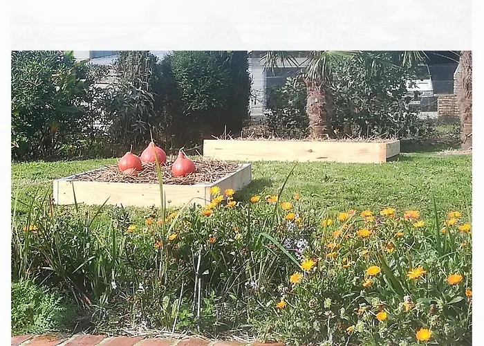 Proche Des Sables D'olonne Vendee Le Girouard